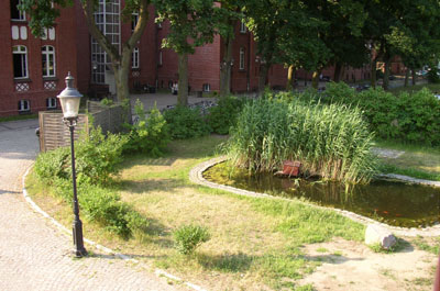unser Schulteich